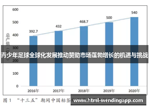 青少年足球全球化发展推动赞助市场蓬勃增长的机遇与挑战