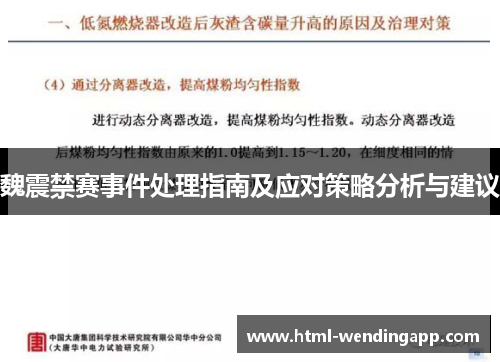 魏震禁赛事件处理指南及应对策略分析与建议