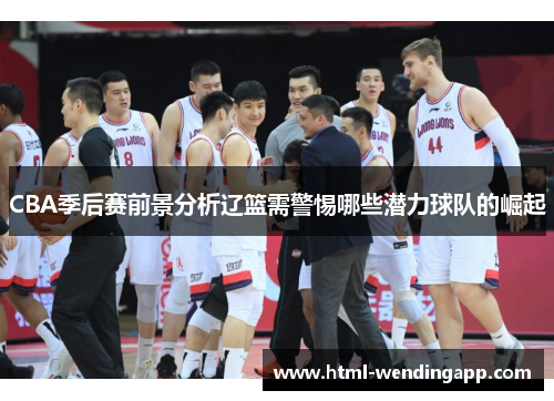CBA季后赛前景分析辽篮需警惕哪些潜力球队的崛起