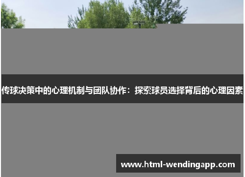 传球决策中的心理机制与团队协作：探索球员选择背后的心理因素