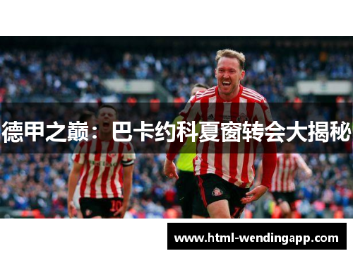 德甲之巅：巴卡约科夏窗转会大揭秘
