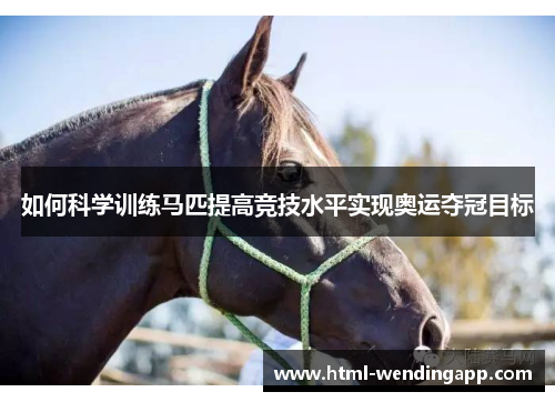 如何科学训练马匹提高竞技水平实现奥运夺冠目标