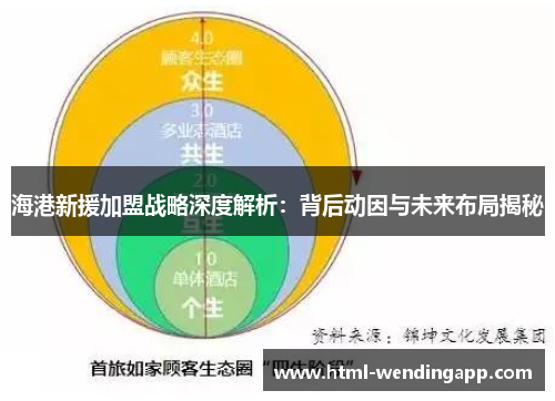 海港新援加盟战略深度解析：背后动因与未来布局揭秘