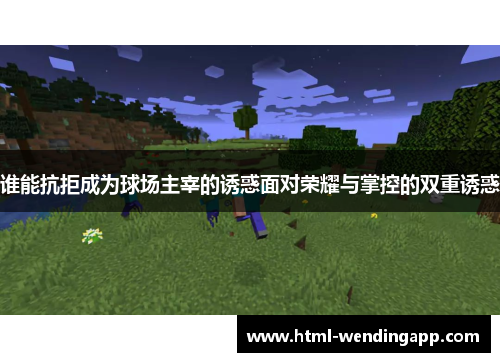 谁能抗拒成为球场主宰的诱惑面对荣耀与掌控的双重诱惑 谁能抗拒成为球场主宰的诱惑面对荣耀与掌控的双重诱惑