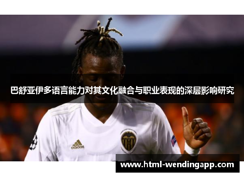 巴舒亚伊多语言能力对其文化融合与职业表现的深层影响研究 巴舒亚伊多语言能力对其文化融合与职业表现的深层影响研究
