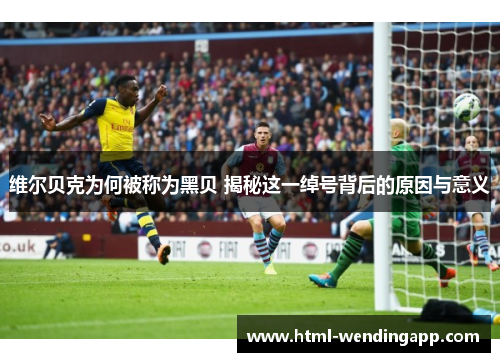 维尔贝克为何被称为黑贝 揭秘这一绰号背后的原因与意义